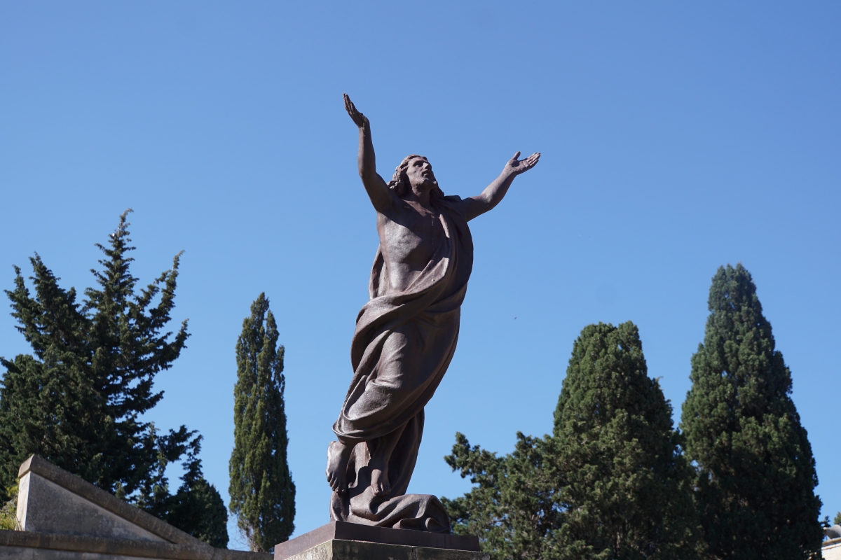 This guy seems to know where we are going 