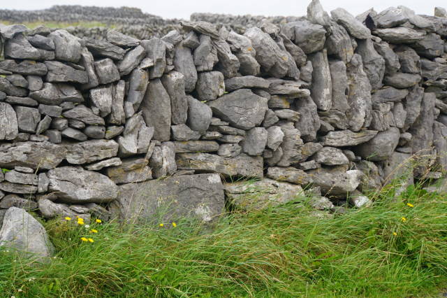 Dry stone fences