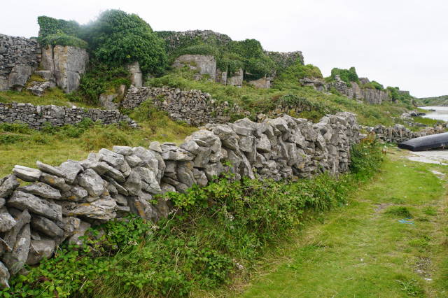 Dry stone fences