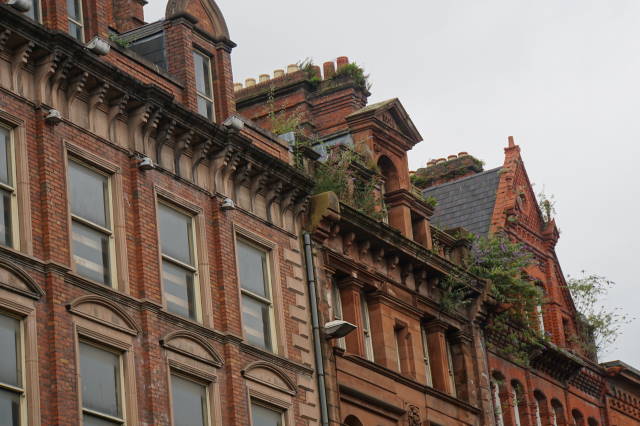 Can't resist brick buildings with trees growing from them