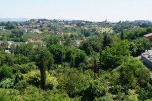 View of the hills from the city               